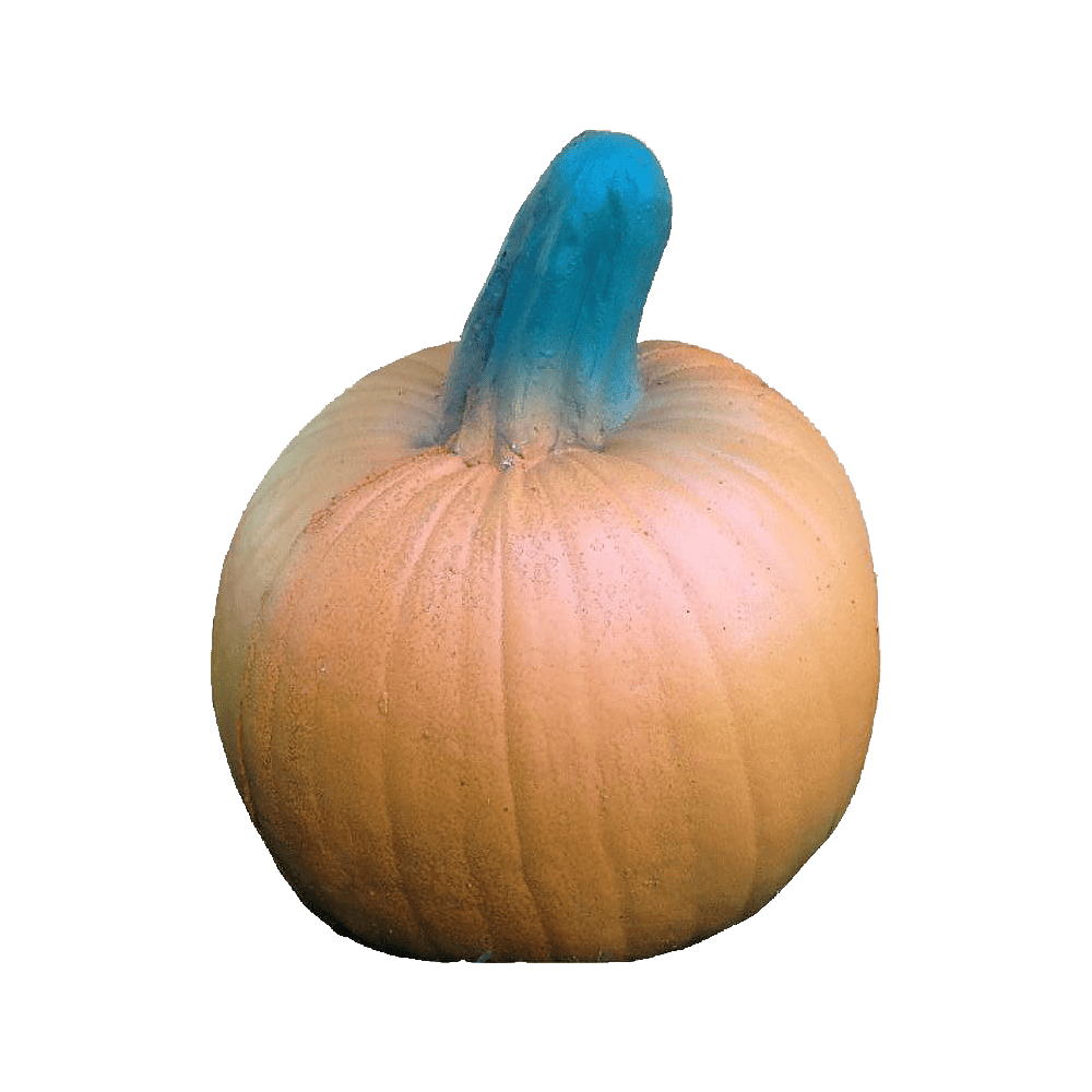 Leitold 3D-Tier Kürbis Leitold 3D-Tier Kürbis