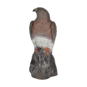 Franzbogen 3D-Tier Falke