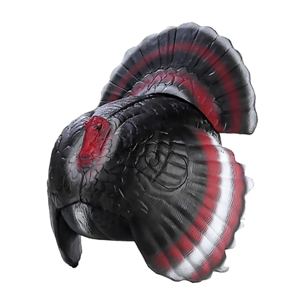Franzbogen 3D-Tier balzender Truthahn