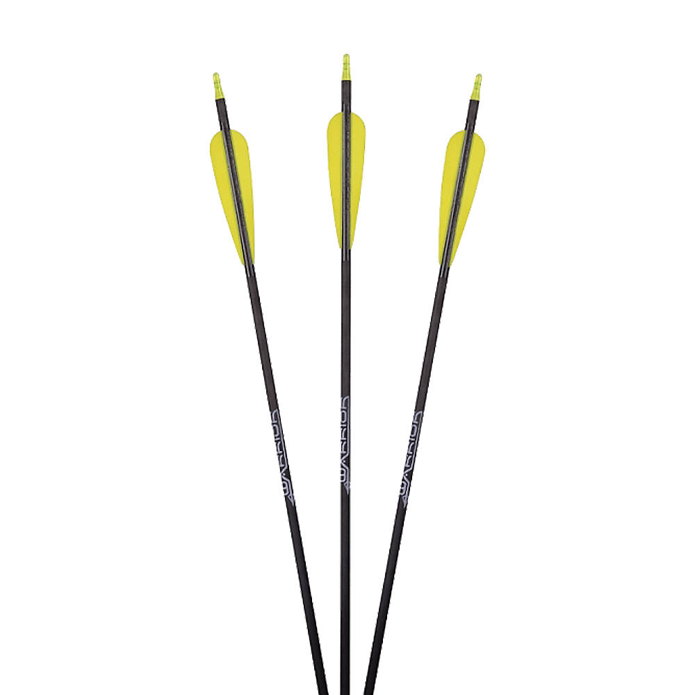 Gold Tip Warrior Standard Carbonpfeil mit Fletches Gold Tip Warrior Standard Carbonpfeil mit Fletches