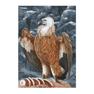 Krüger Zielscheibenauflage Geier