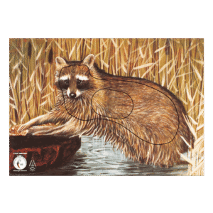 Krüger Zielscheibenauflage Waschbär